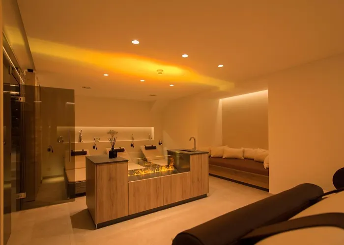 Guest house Muntanella 4*